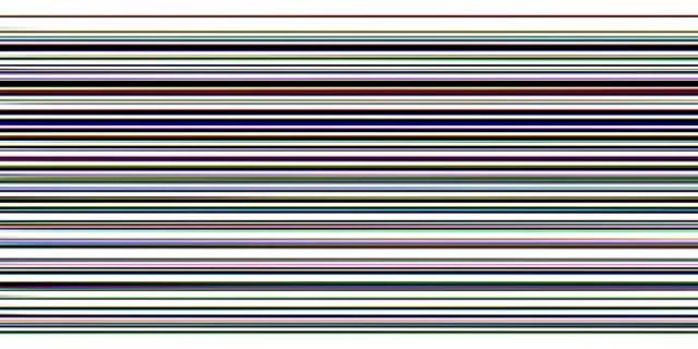Fingerprint Bar Code, 20"x40"